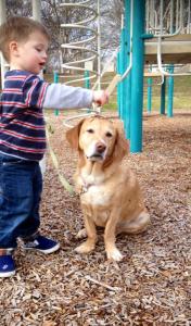 11021071_10102903768586324_2898746922860518570_n